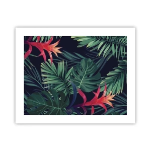 Poster - Flacăra verde - 50x40 cm