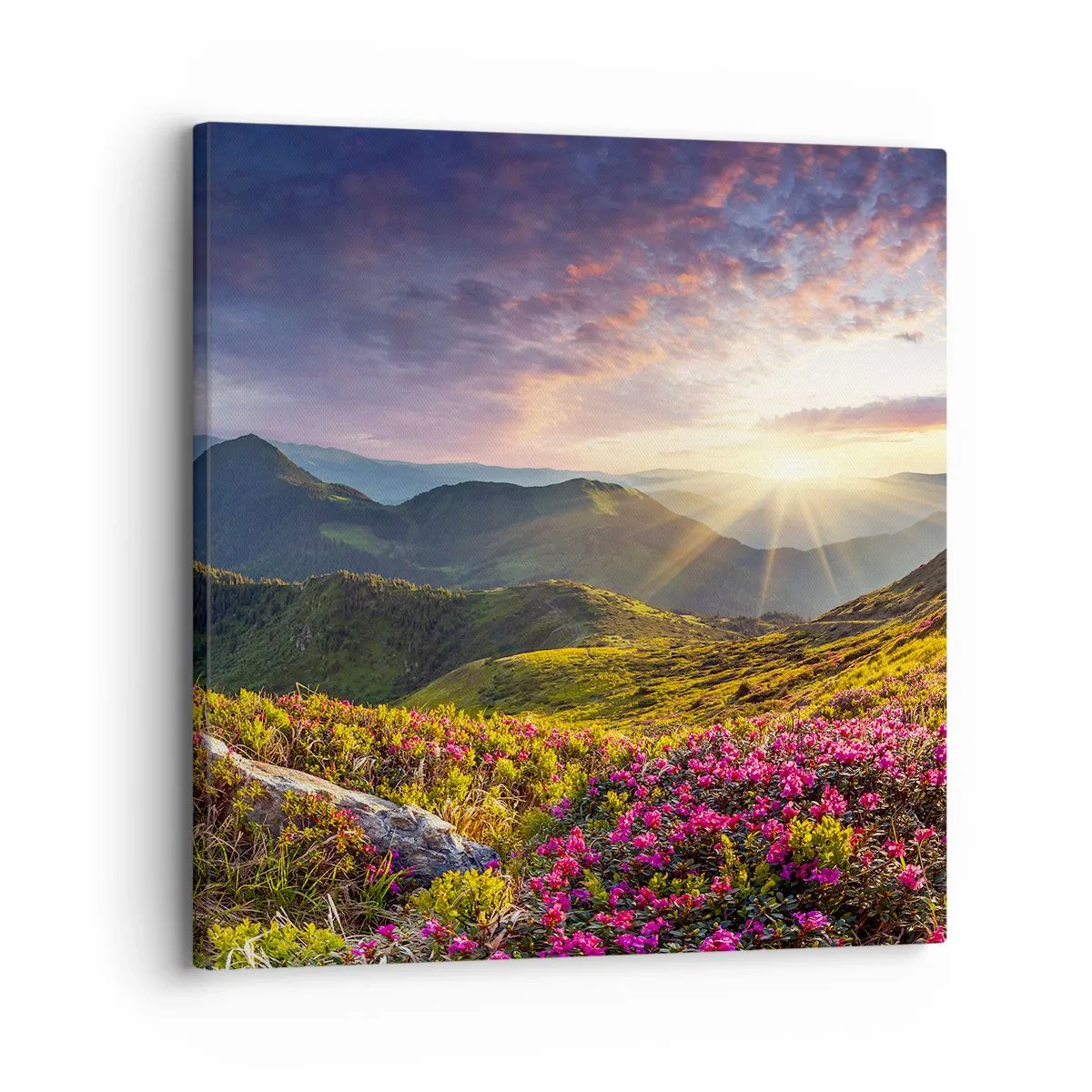 Tablou pe pânză - Prospețimea unei dimineți de munte - 30x30 cm