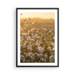 Poster în ramă neagră - Un câmp de bumbac în lumina caldă a soarelui apus - 50x70cm - Câmp pufos - Decorațiune modernă pentru perete pentru living și dormitor ARTTOR