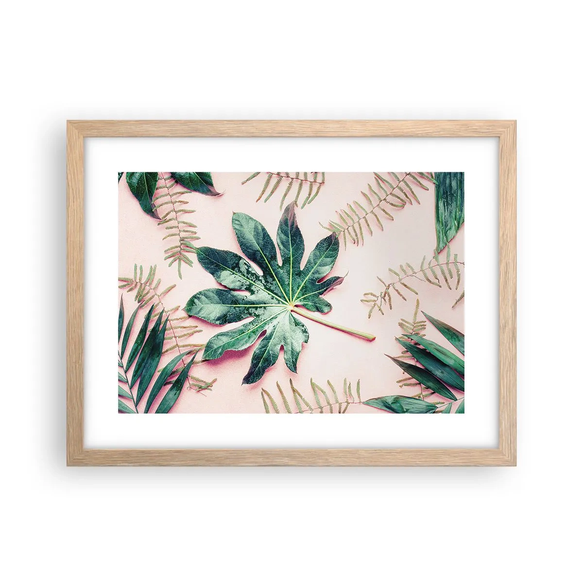 Poster în ramă de stejar deschis - Studiu de verdeață pe un fundal roz - 40x30 cm