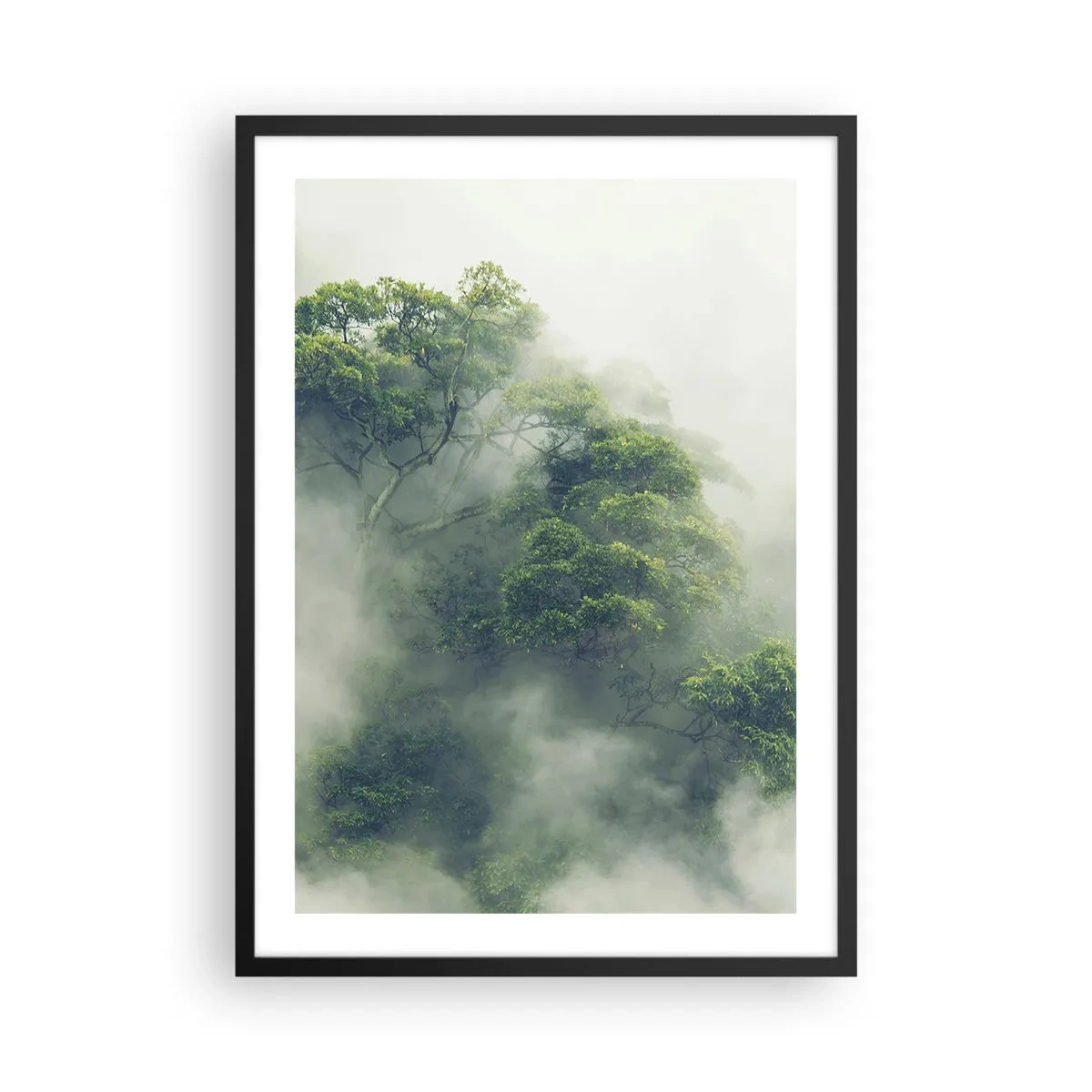 Poster în ramă neagră - Vârfuri verzi ale copacilor ascunse în ceață densă și misterioasă - 50x70cm - Înfășurate în ceață - Decorațiune modernă pentru perete pentru living și dormitor ARTTOR