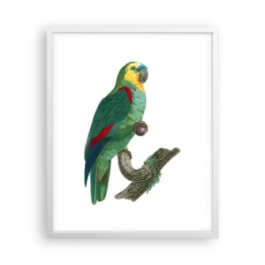 Poster în ramă albă - Portret de papagal - 40x50 cm