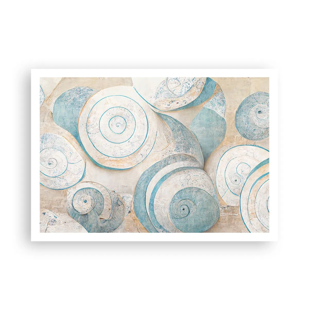 Poster - Ce ascunde cochilia? - 100x70 cm