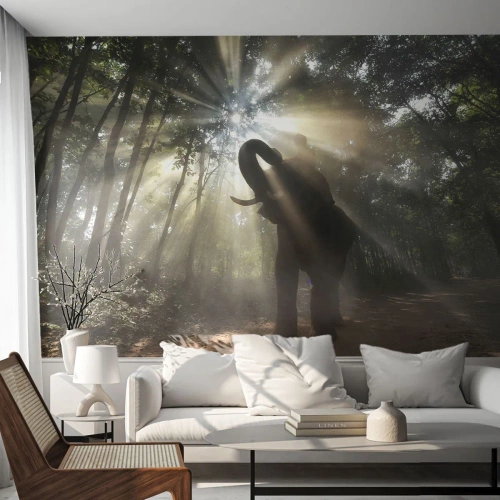 Tapet Premium Sand - Sub o stea norocoasă - Peisaj, Elefant, Junglă - 200x140 cm