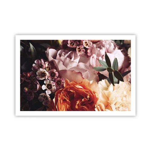 Poster - Înghesuite în frumusețe - 91x61 cm