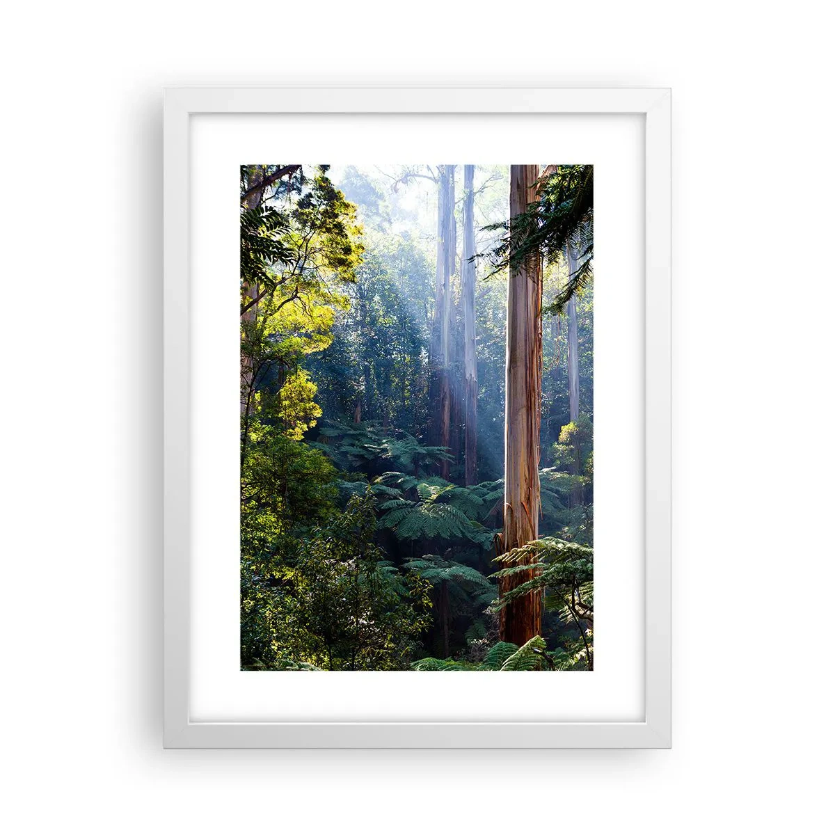 Poster în ramă albă - O poveste din pădure - 30x40 cm