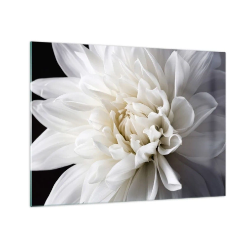 Tablou pe sticlă - Un prim-plan al unei dalii albe pe un fundal negru și gri - 70x50cm - Dimineața miresei - Decorațiune modernă pentru perete pentru living și dormitor ARTTOR