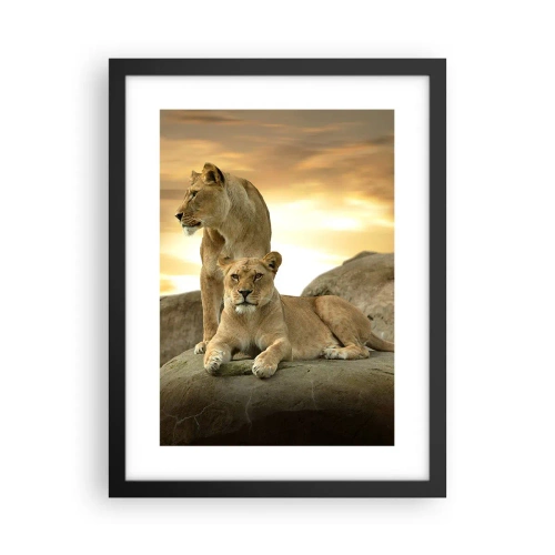 Poster în ramă neagră - Maiestate regală - 30x40 cm