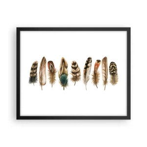 Poster în ramă neagră - Variație cu pene - 50x40 cm