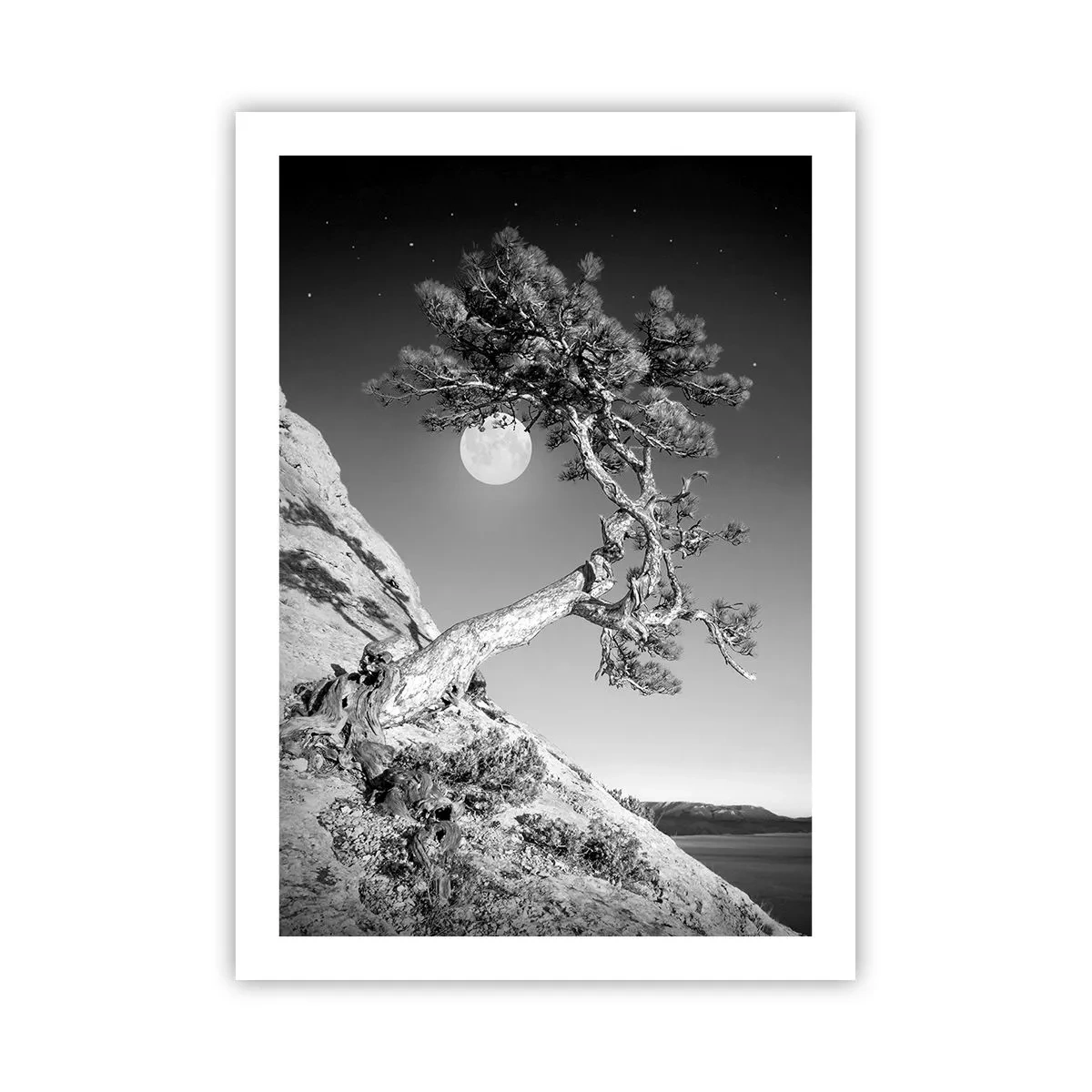 Poster - Războinicul victorios - 50x70 cm