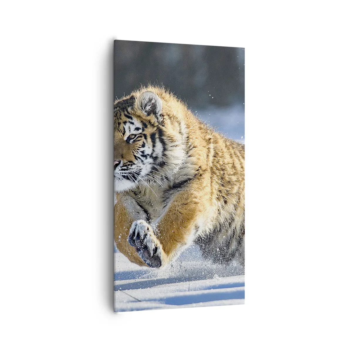 Tablou pe pânză - Zeu al taigalei siberiene - 65x120 cm