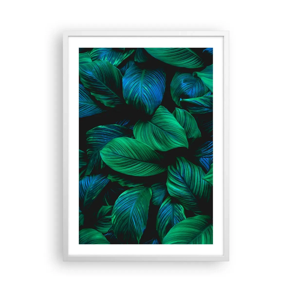 Poster în ramă albă - Traficul verde - 50x70 cm