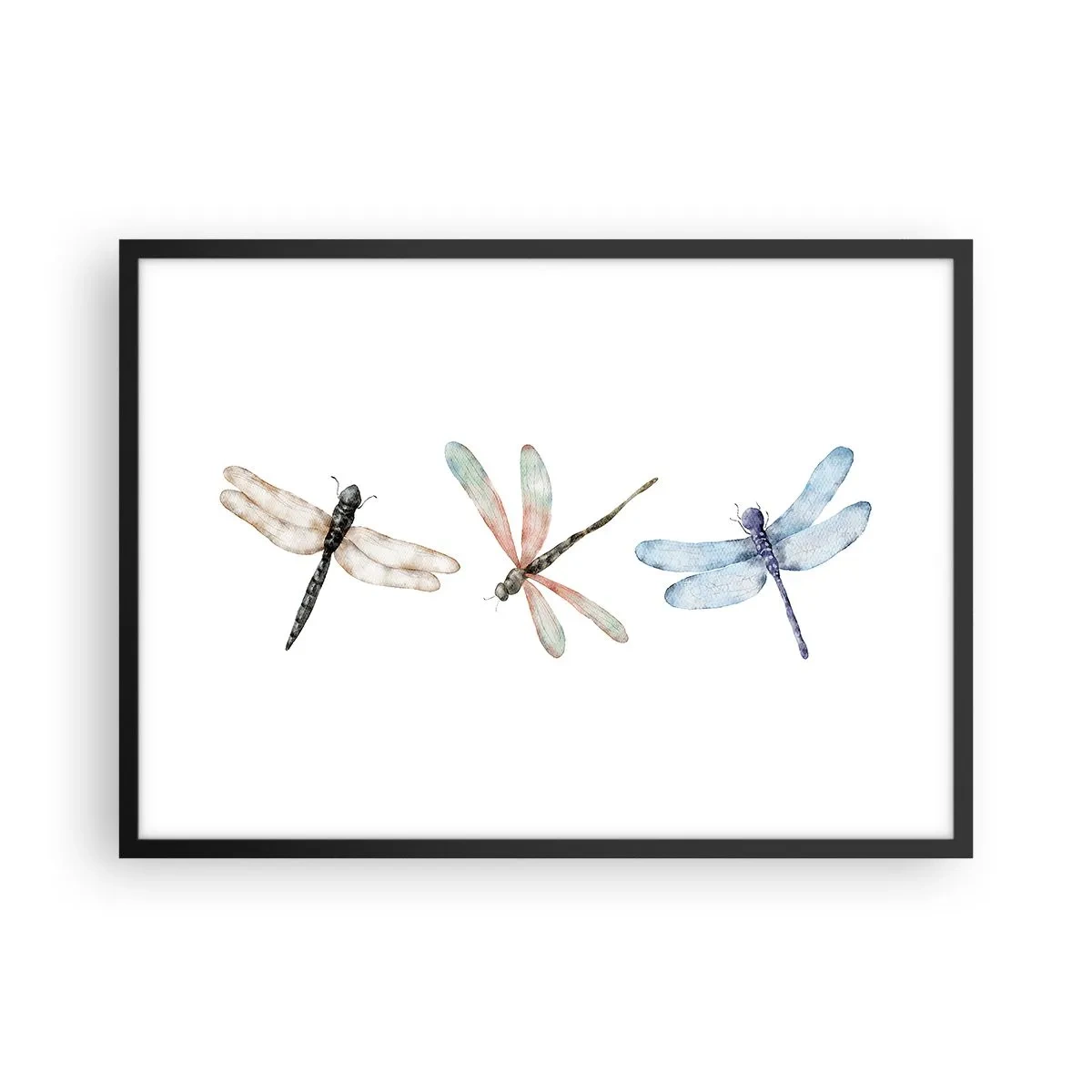 Poster în ramă neagră - Libelule imponderabile - 70x50 cm