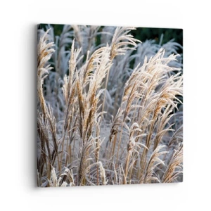 Tablou pe pânză - Împodobite cu brumă - 30x30 cm