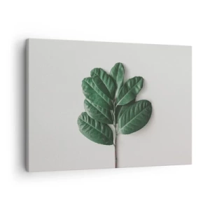 Tablou pe pânză Canvas - O crenguță de frunze verzi pe un fundal deschis - 70x50cm - Desenul naturii însăși - Decorațiune modernă pentru perete pentru living și dormitor ARTTOR