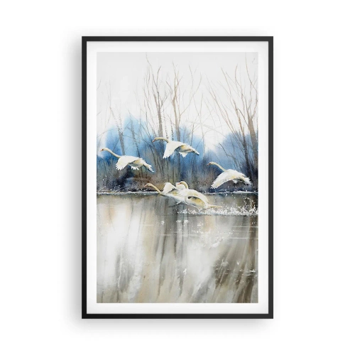 Poster în ramă neagră - Dansând cu lebedele sălbatice - 61x91 cm