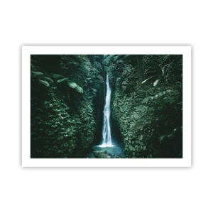 Poster - Băi tropicale - 70x50 cm
