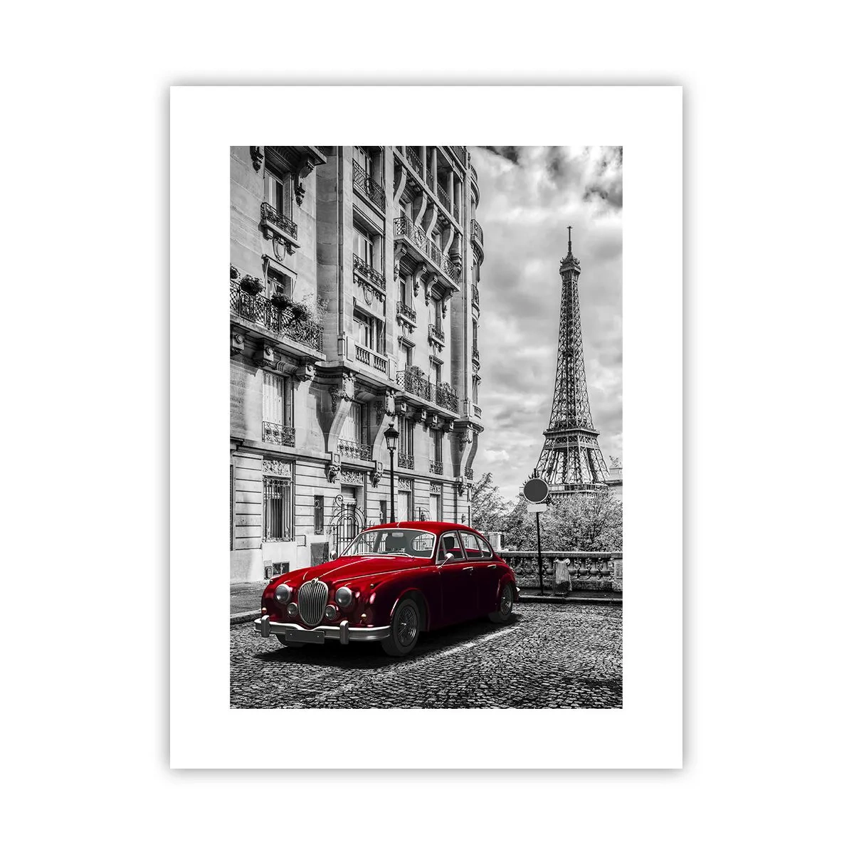 Poster - Prădător în oraș - 30x40 cm