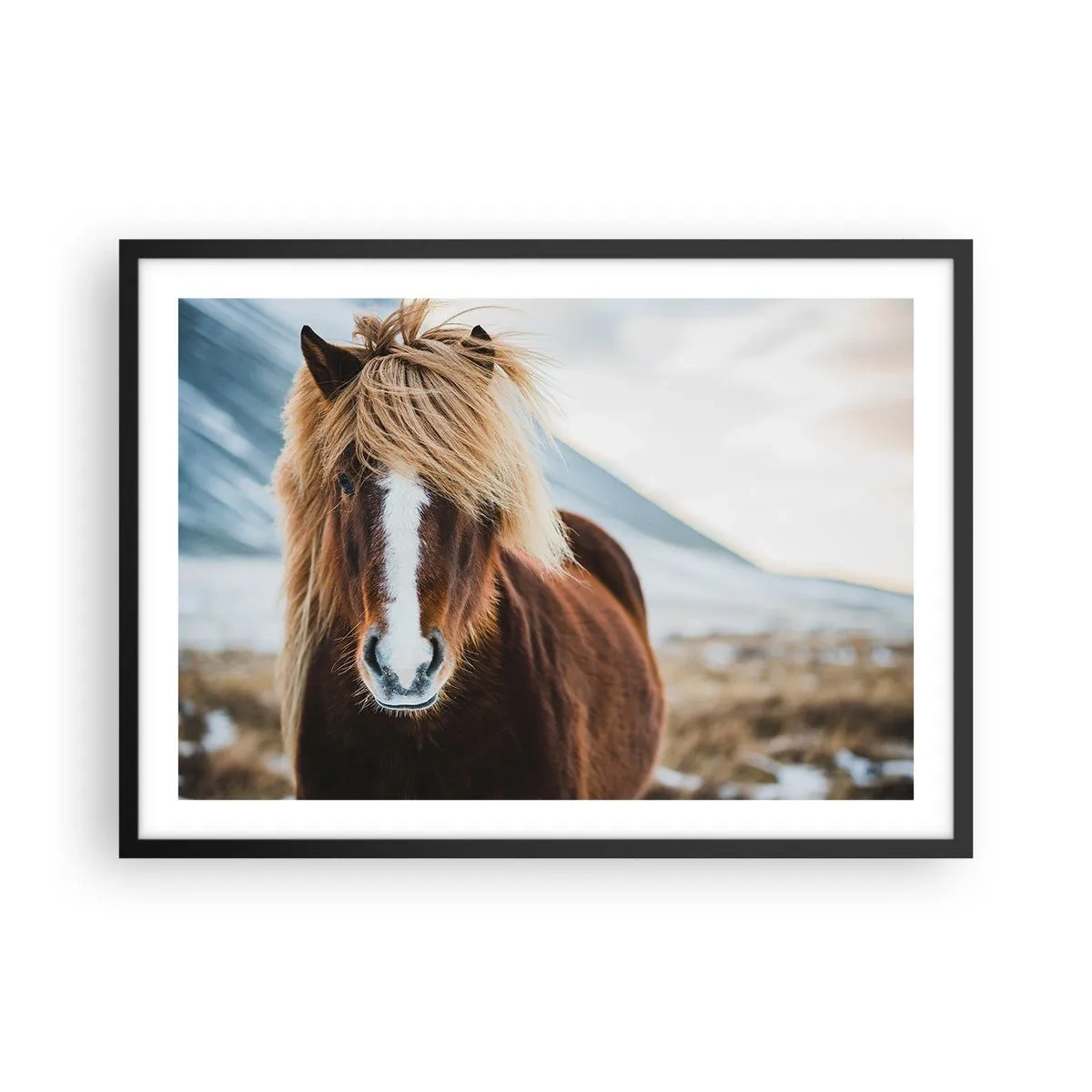 Poster în ramă neagră - Simțiți libertatea? - 70x50 cm