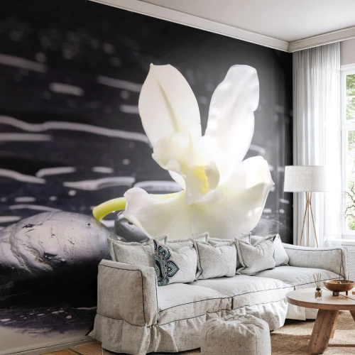 Tapet Standard Eco - Orhidee albă pe pietre negre - 100x70cm - Studiu în alb și negru - Decorațiune modernă pentru perete pentru living și dormitor ARTTOR