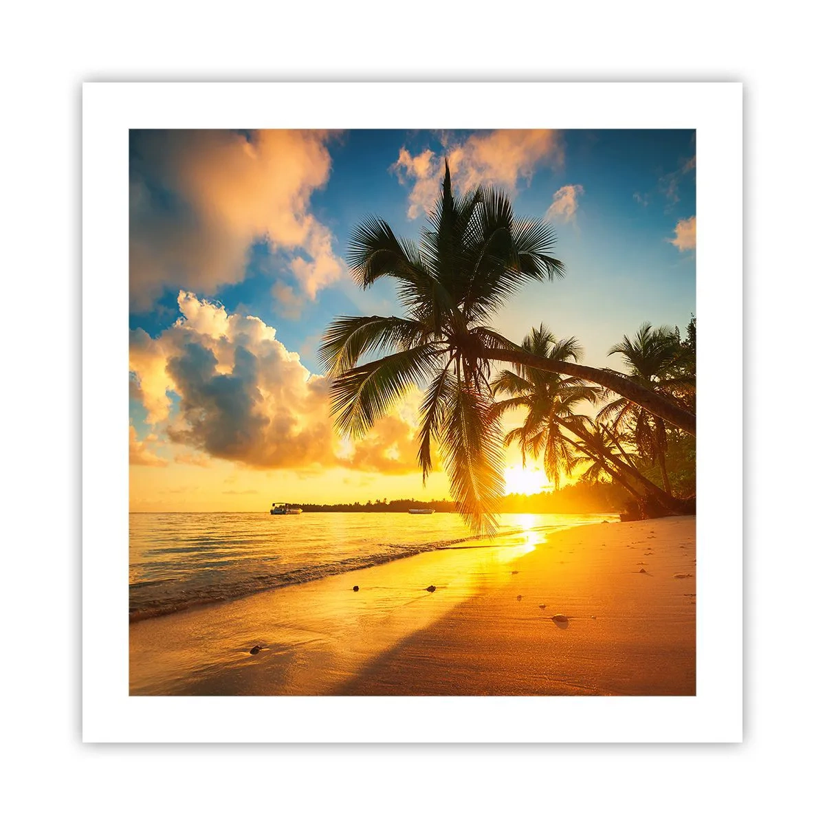Poster - Visul din Caraibe - 50x50 cm