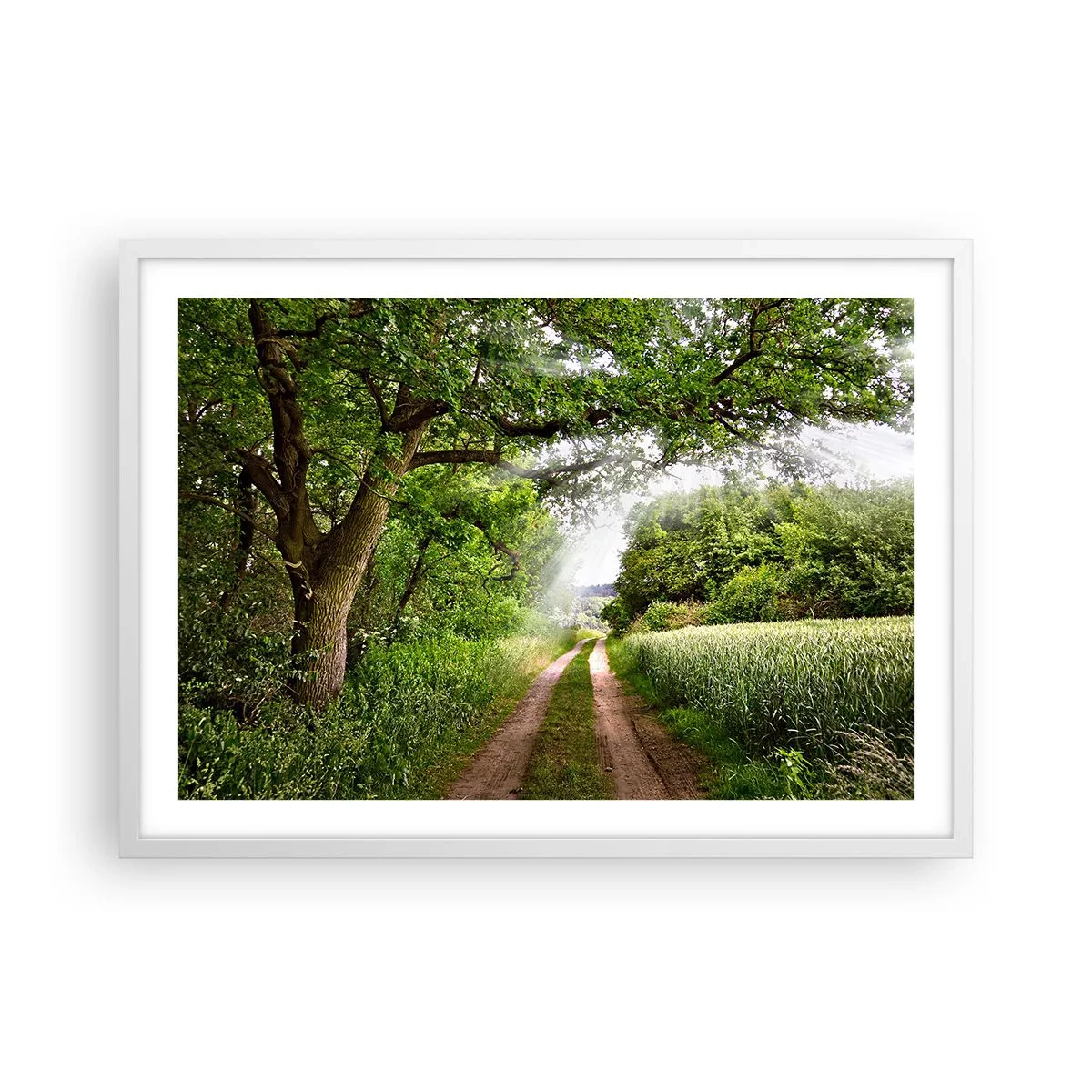 Poster în ramă albă - Et in Arcadia ego - 70x50 cm