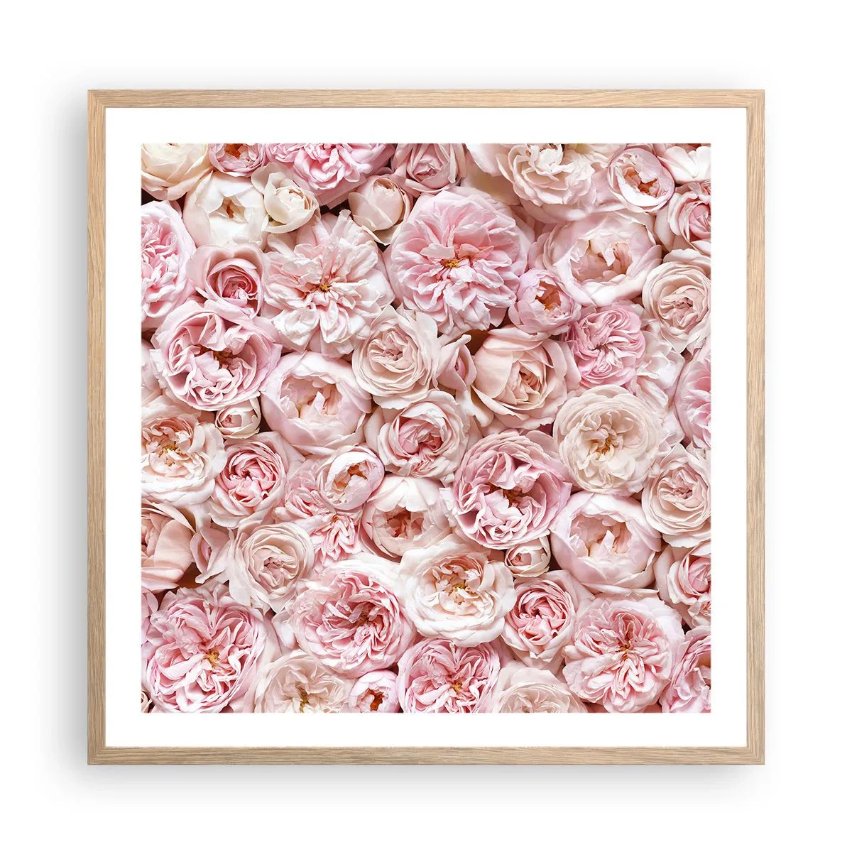 Poster în ramă de stejar deschis - Presărat cu trandafiri - 60x60 cm