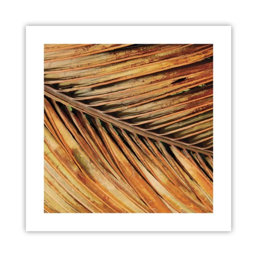 Poster - Aur de nucă de cocos - 40x40 cm