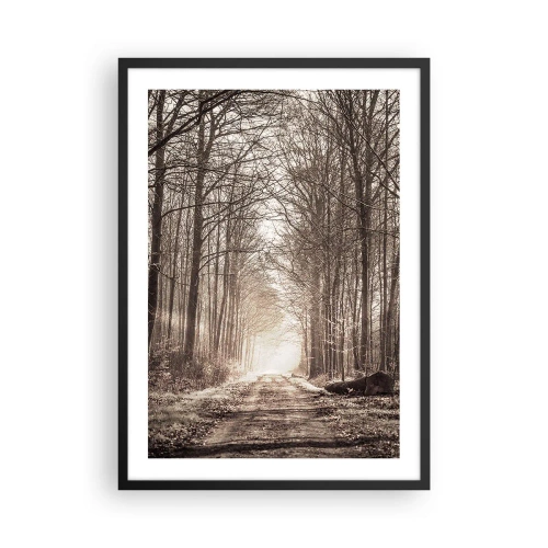 Poster în ramă neagră - potecă de pădure în tonuri sepia autumnale - 50x70cm - Catedrala Forestieră - Decorațiune modernă pentru perete pentru living și dormitor ARTTOR