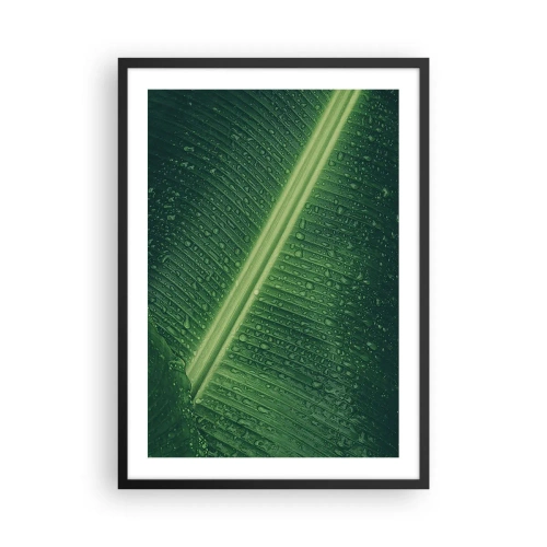 Poster în ramă neagră - Prim-plan al unei frunze verzi cu picături de apă - 50x70cm - Structura verdelui - Decorațiune modernă pentru perete pentru living și dormitor ARTTOR