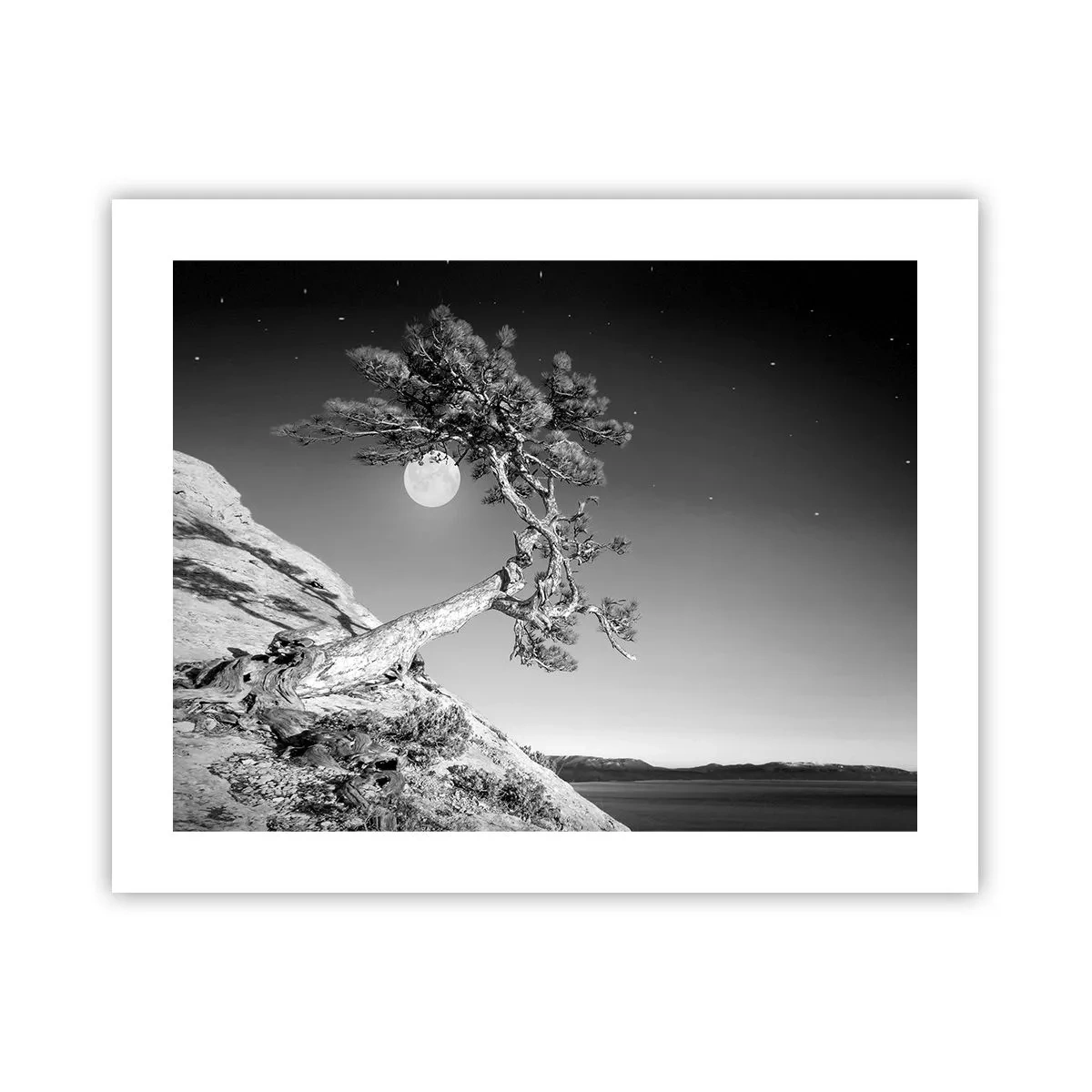 Poster - Războinicul victorios - 50x40 cm