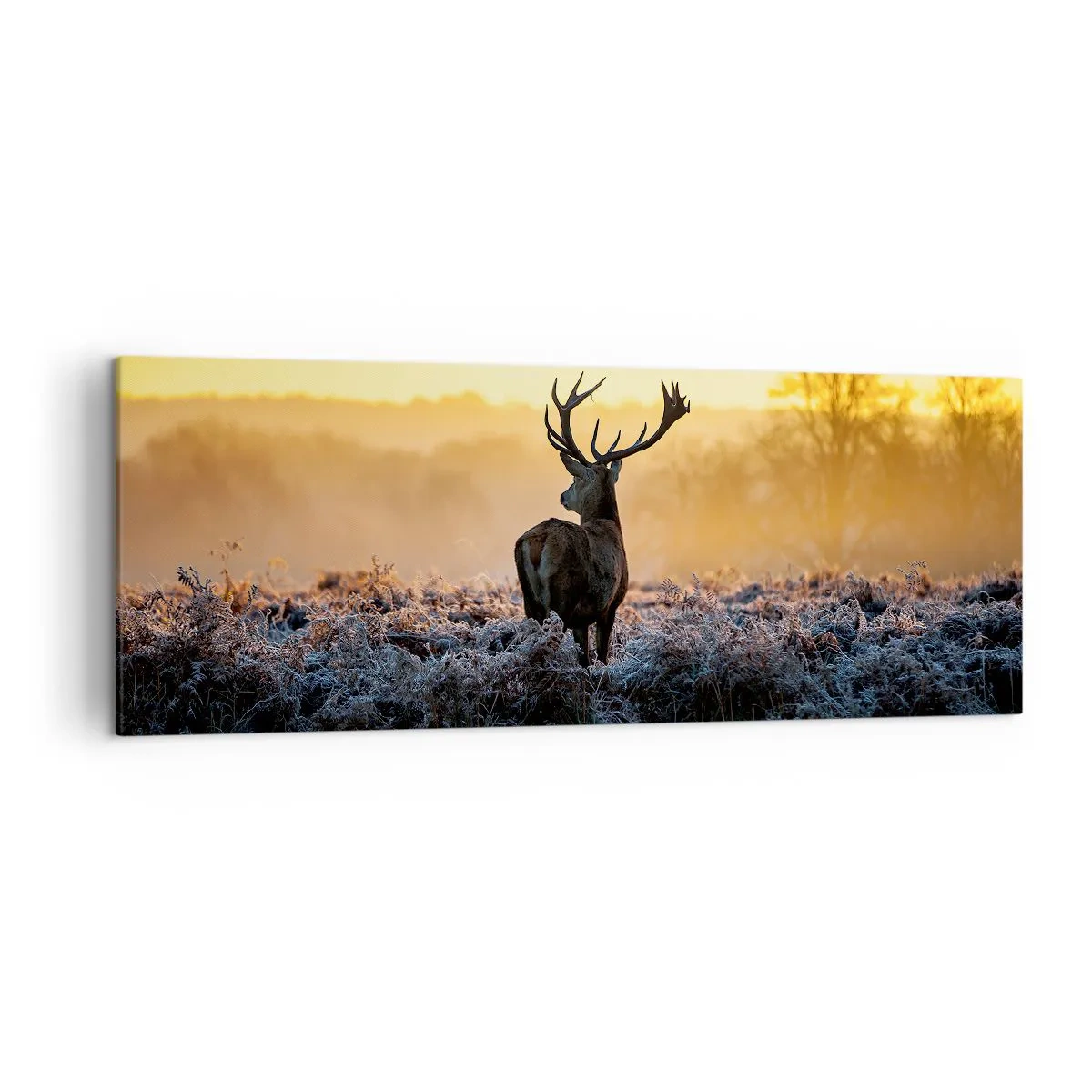 Tablou pe pânză - Încoronat pe domeniul său - 140x50 cm