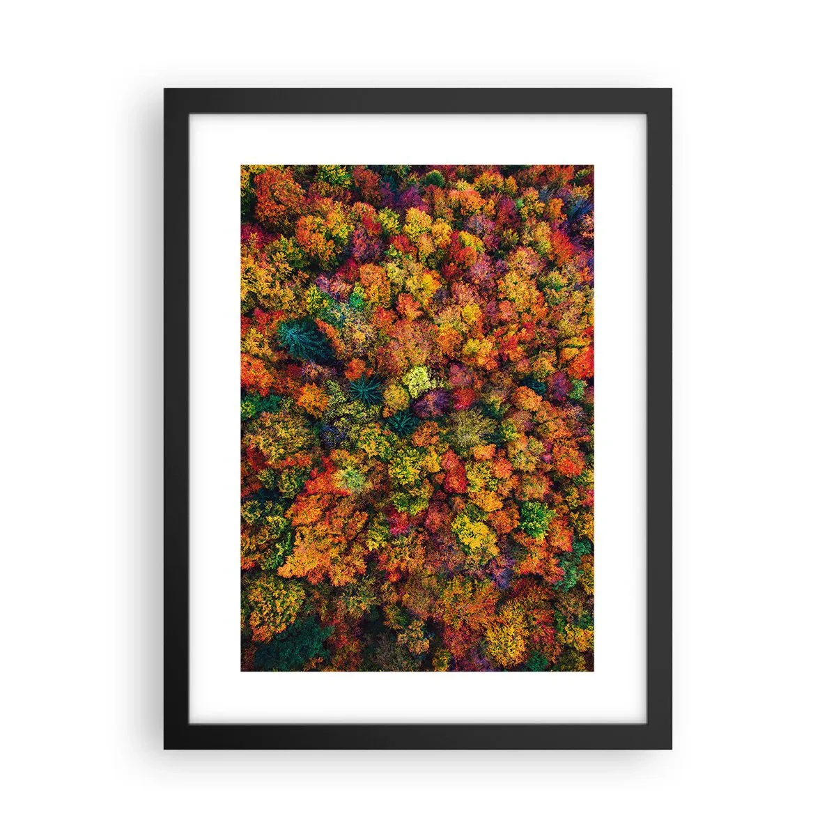 Poster în ramă neagră - Buchet de copaci de toamnă - 30x40 cm