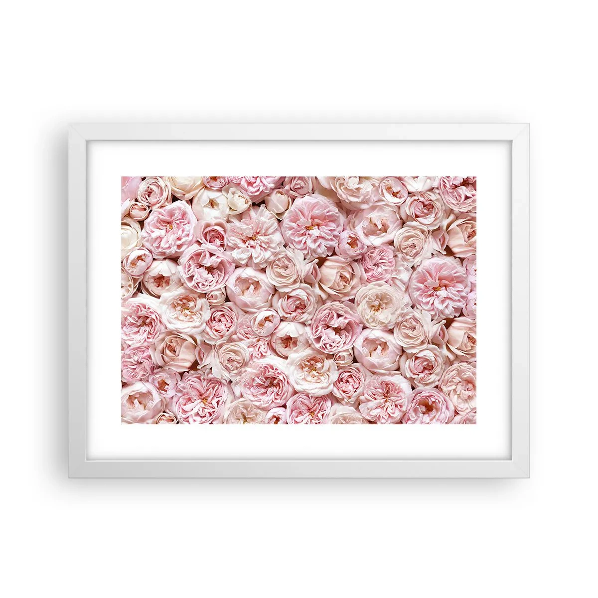 Poster în ramă albă - Presărat cu trandafiri - 40x30 cm