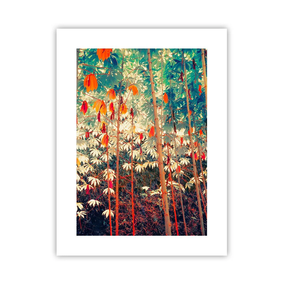 Poster - Viața secretă a frunzelor - 30x40 cm