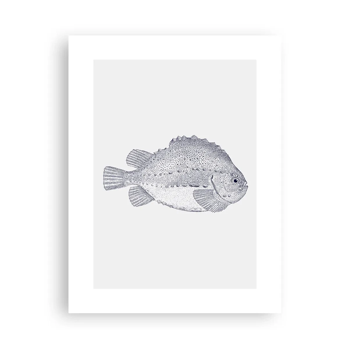 Poster - Pentru albumul naturalistului - 30x40 cm