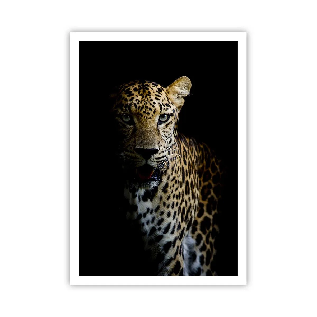 Poster - Frumusețe întunecată - 70x100 cm