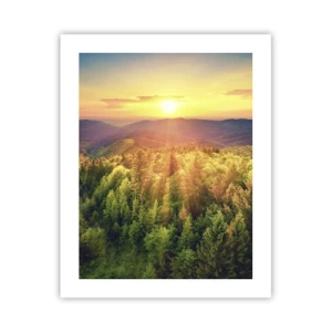 Poster - Vârfuri și culmi - 40x50 cm