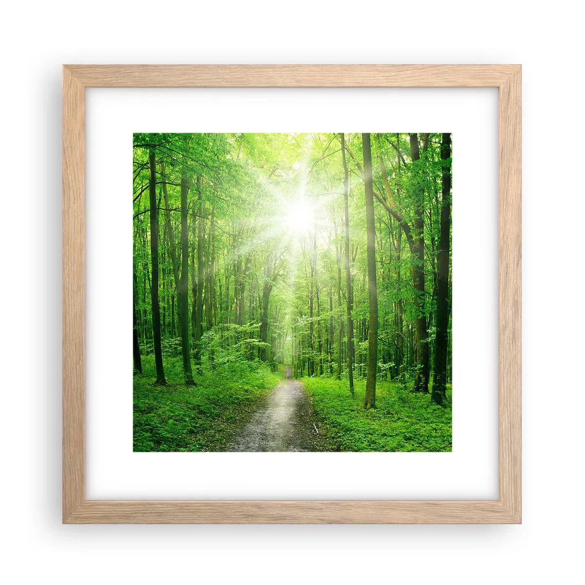 Poster în ramă de stejar deschis - Catedrala verde - 30x30 cm