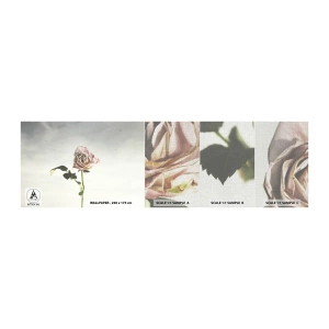 Mostră tapet Premium Canvas - Primăvara binevenită - Trandafir, Floare, Bucată - 100x30 cm