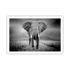 Poster - Gazda te salută - 91x61 cm