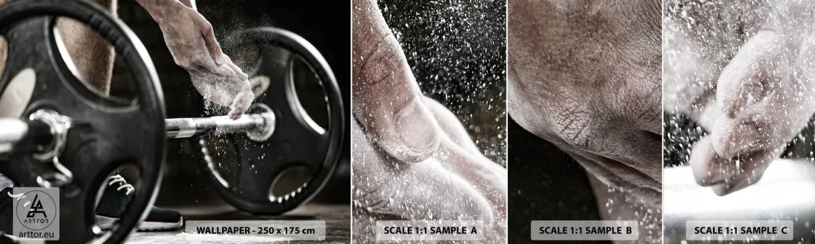 Mostră tapet autocolant Deluxe Sticker - Provocare acceptată! - Sport, Sală de gimnastică, Ridicare de greutăți - 100x30 cm