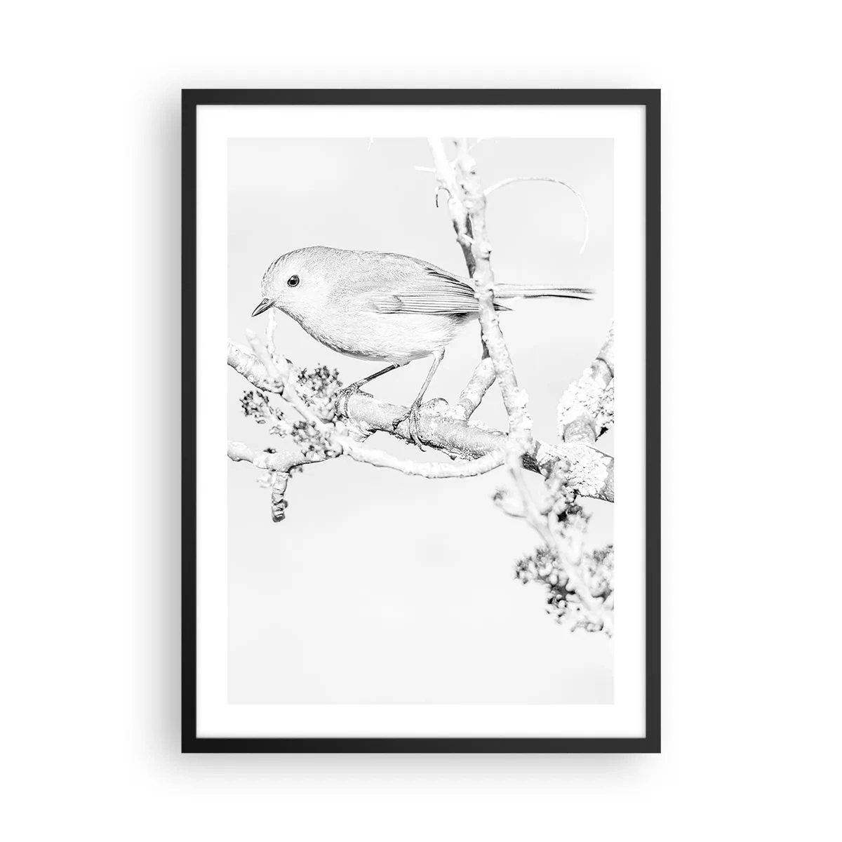 Poster în ramă neagră - Desen alb-negru al unei păsări pe o creangă - 50x70cm - Dimineață de iarnă - Decorațiune modernă pentru perete pentru living și dormitor ARTTOR