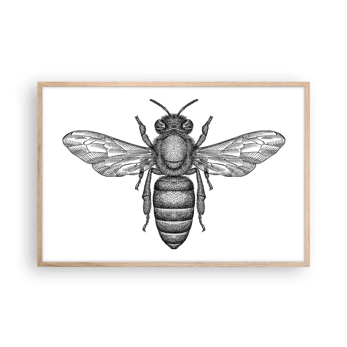 Poster în ramă de stejar deschis - Portret de insectă - 91x61 cm