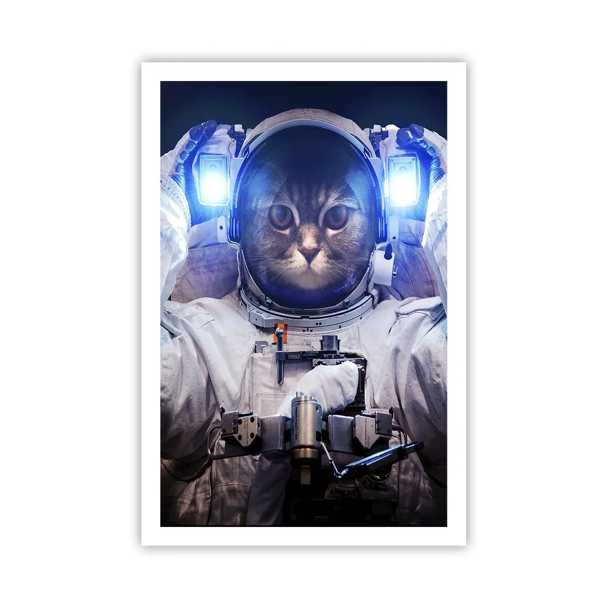 Poster - Houston, aveți o problemă - 61x91 cm