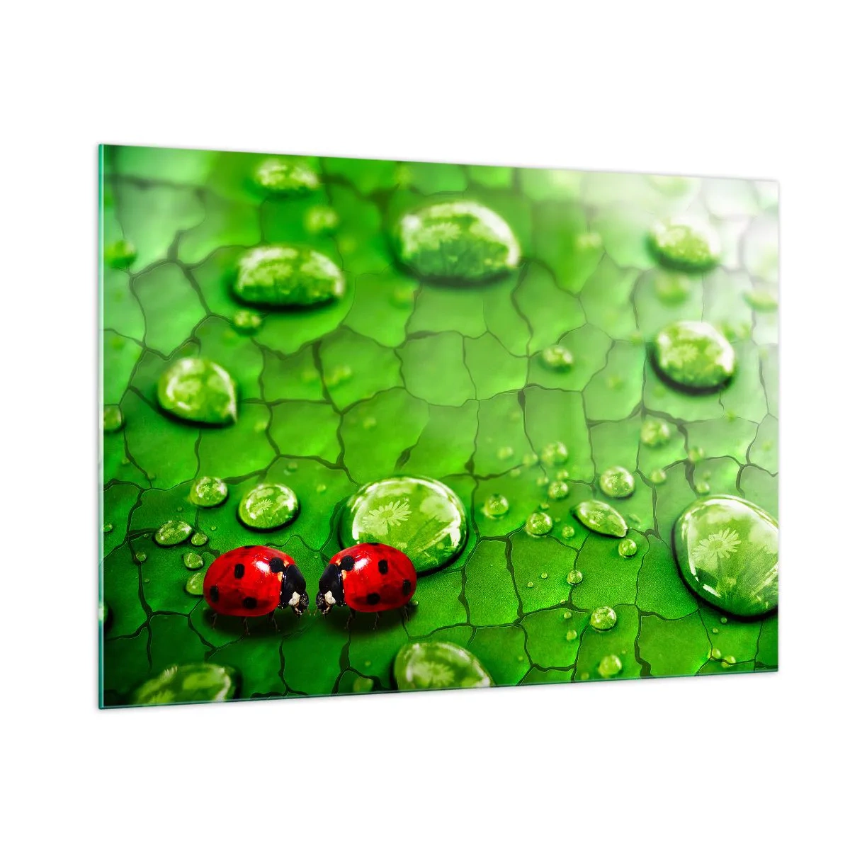 Tablou pe sticlă - Întâlnire în verde - 100x70 cm