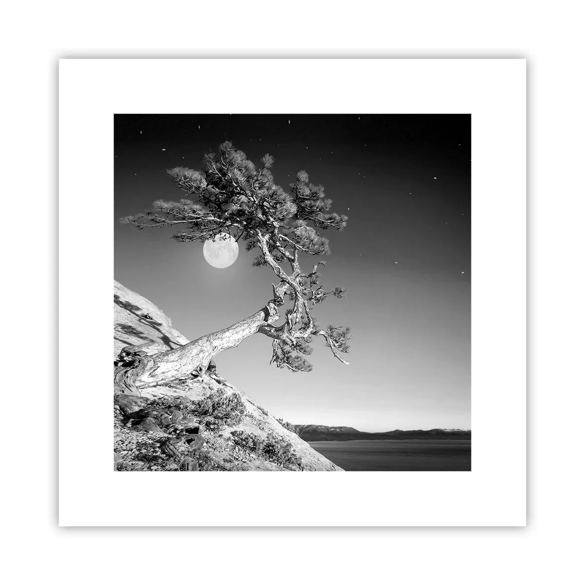 Poster - Războinicul victorios - 30x30 cm