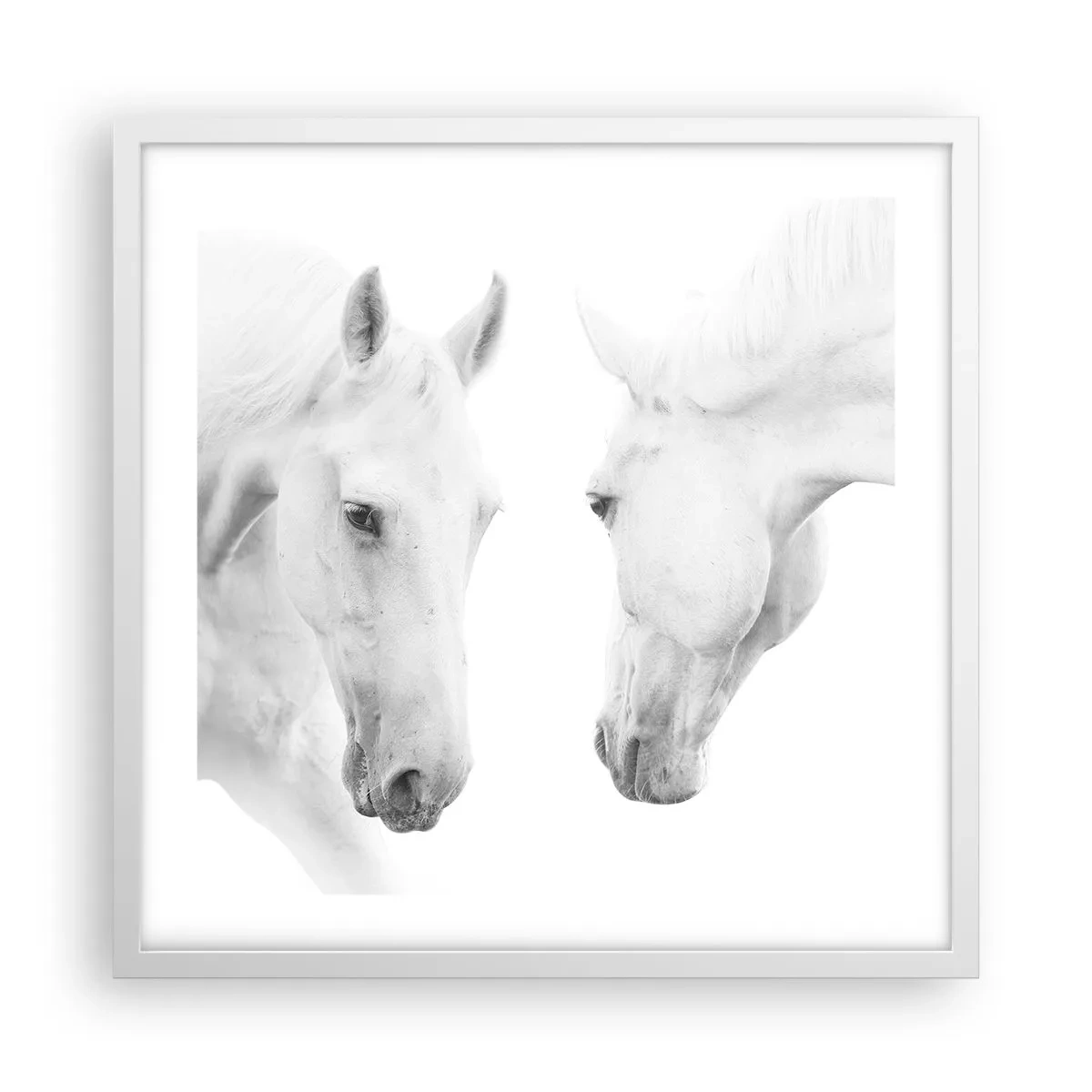 Poster în ramă albă - Este aceasta o prietenie...? - 50x50 cm
