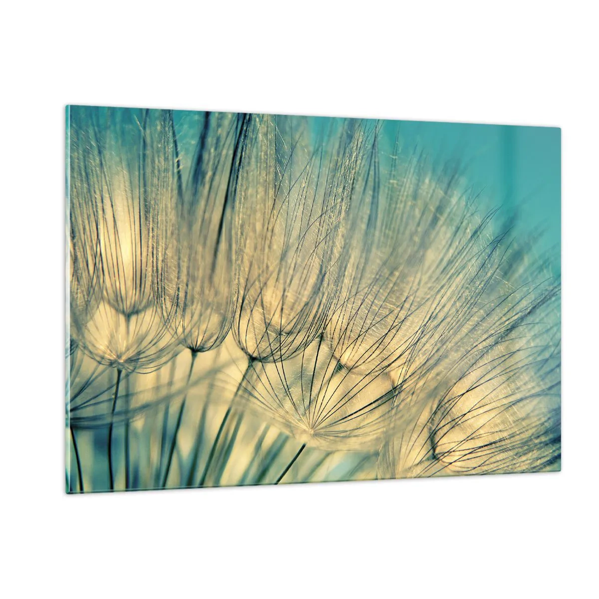 Tablou pe sticlă - Așteptând vântul - 120x80 cm