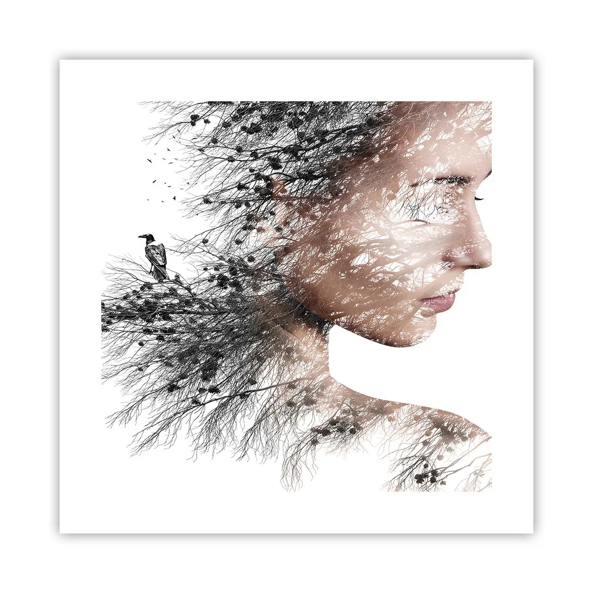 Poster - Spiritul pădurii - 40x40 cm